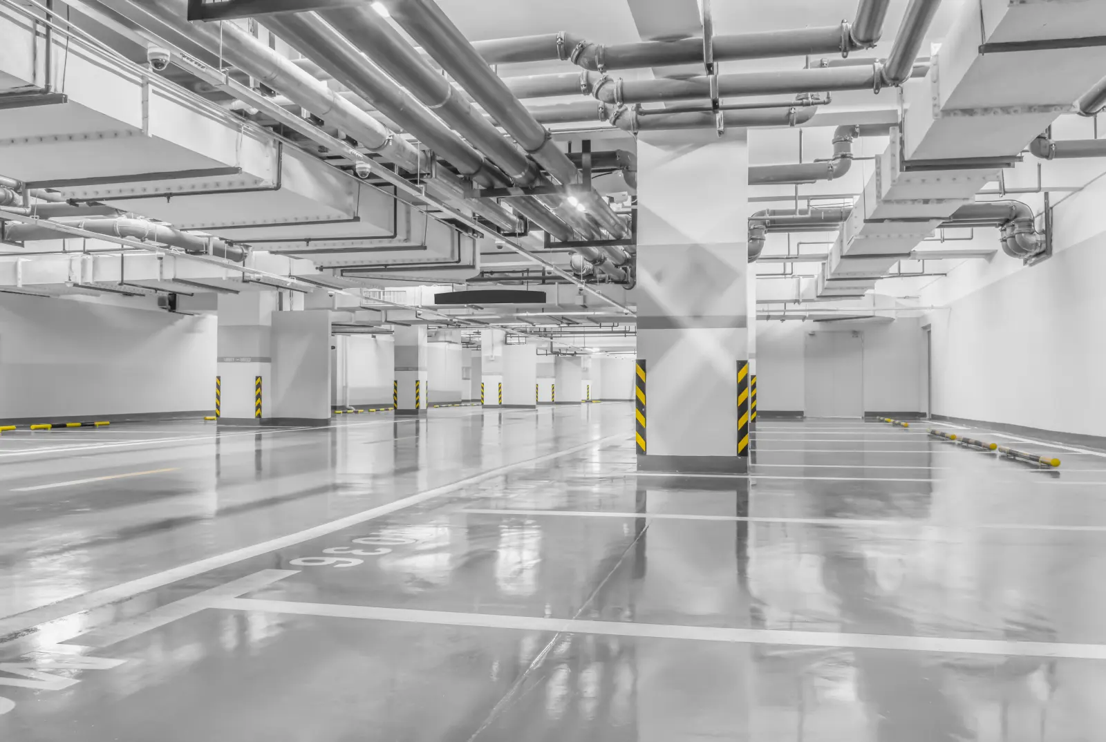Serving Red Deer — Professional Floor Coatings in Red Deer